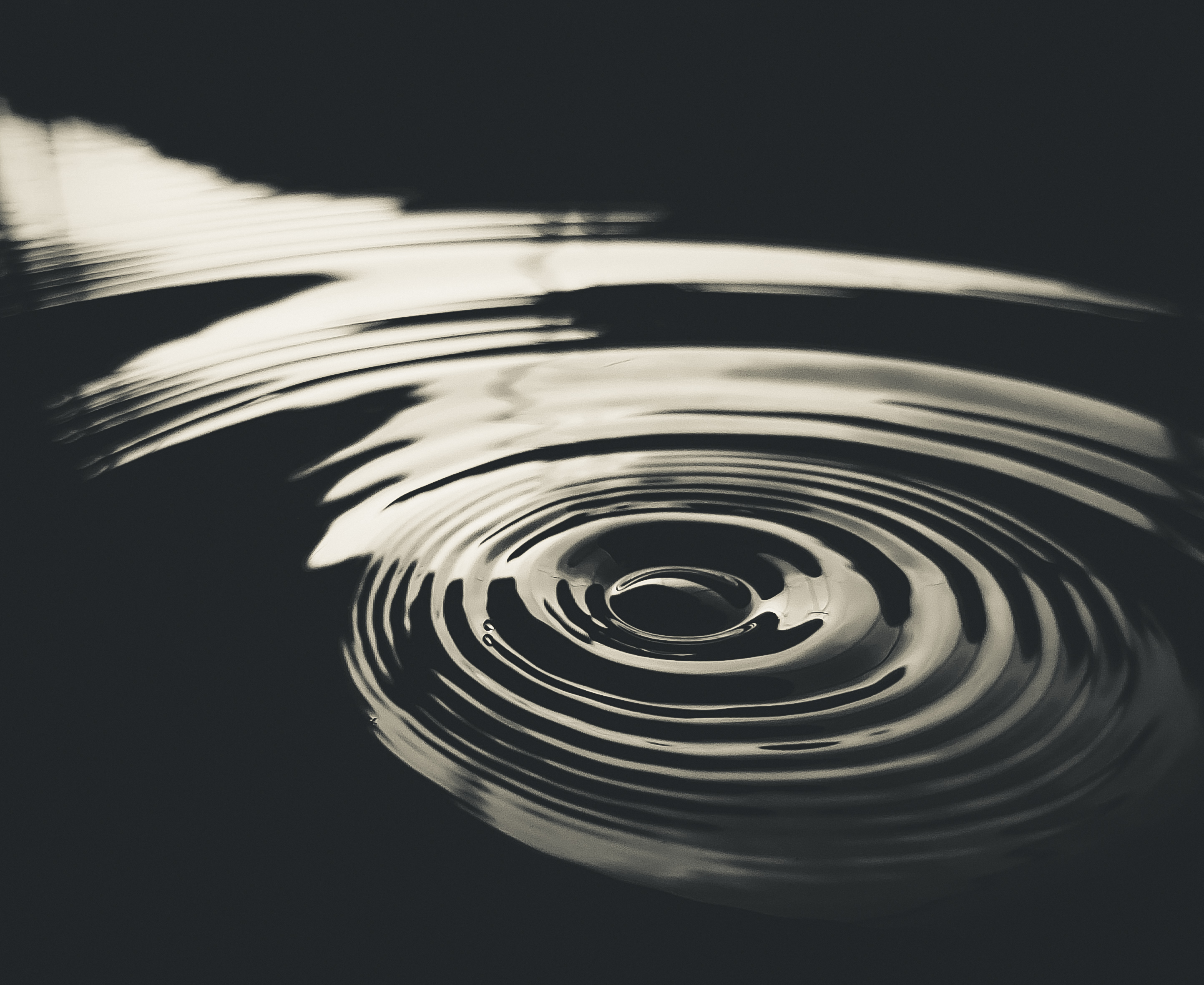 Fleur Lunaire Tattoo - Salon de tatouage Lyon - Ambiance professionnelle